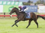 Dark brown racehorse gallops on green track with jockey in pink helmet and blue silks, saddle cloth reads 3 HTBA, banners in background.