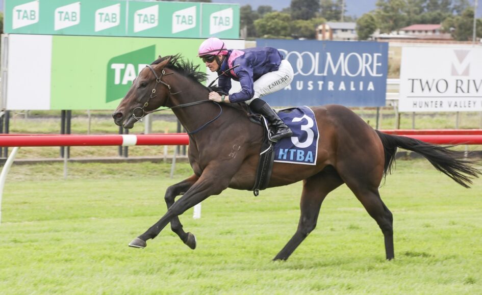 Dark brown racehorse gallops on green track with jockey in pink helmet and blue silks, saddle cloth reads 3 HTBA, banners in background.