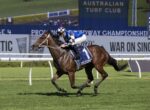 Bay horse and jockey in blue-and-white silks race down the turf track, number 1 saddle cloth visible.