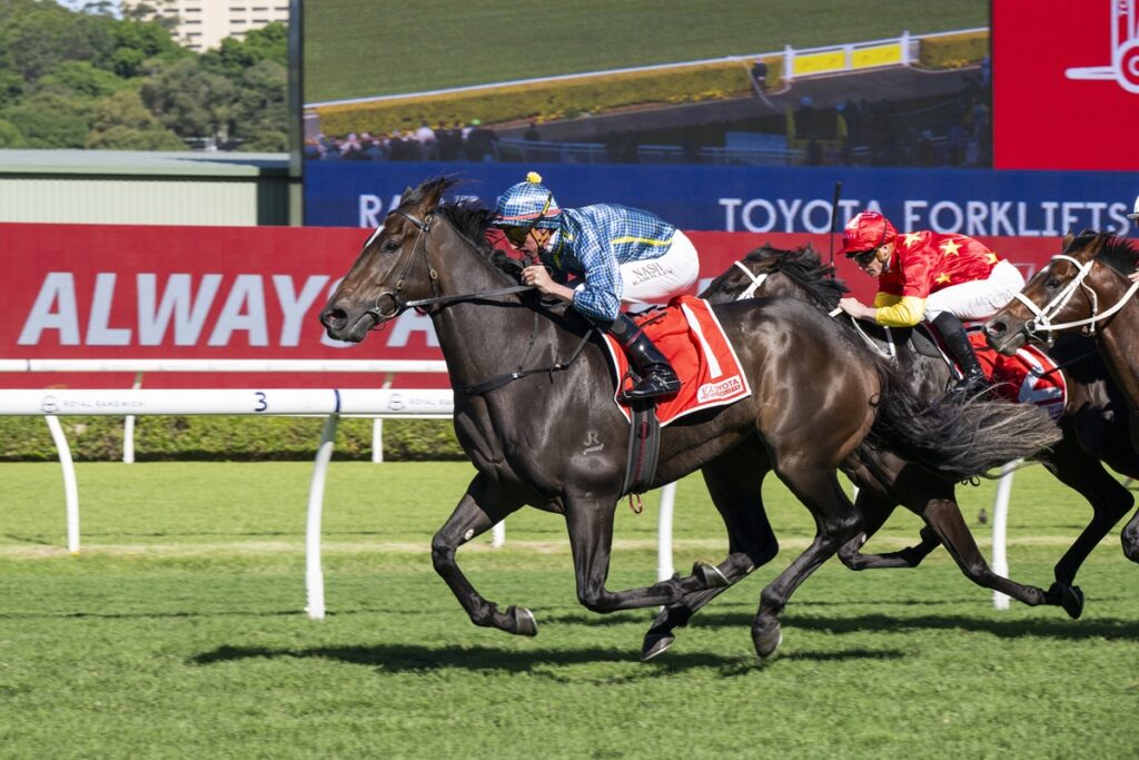 Three racehorses gallop down a track with jockeys in blue checkered and red silks, green infield and advertising boards in the background.