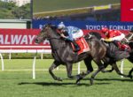 Three racehorses gallop down a track with jockeys in blue checkered and red silks, green infield and advertising boards in the background.