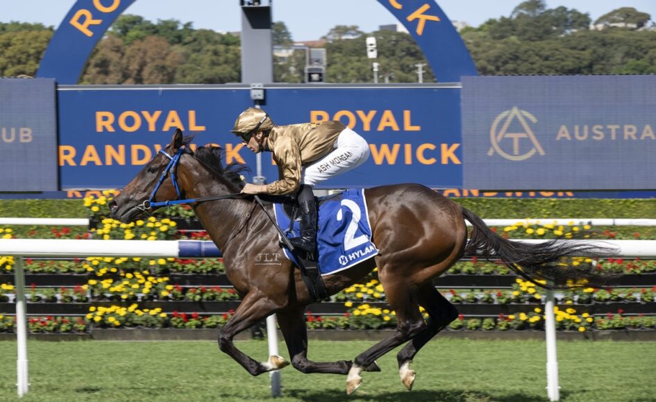 Jockey in gold silks rides a brown racehorse with blue tack at Royal Randwick, saddlecloth number 2.