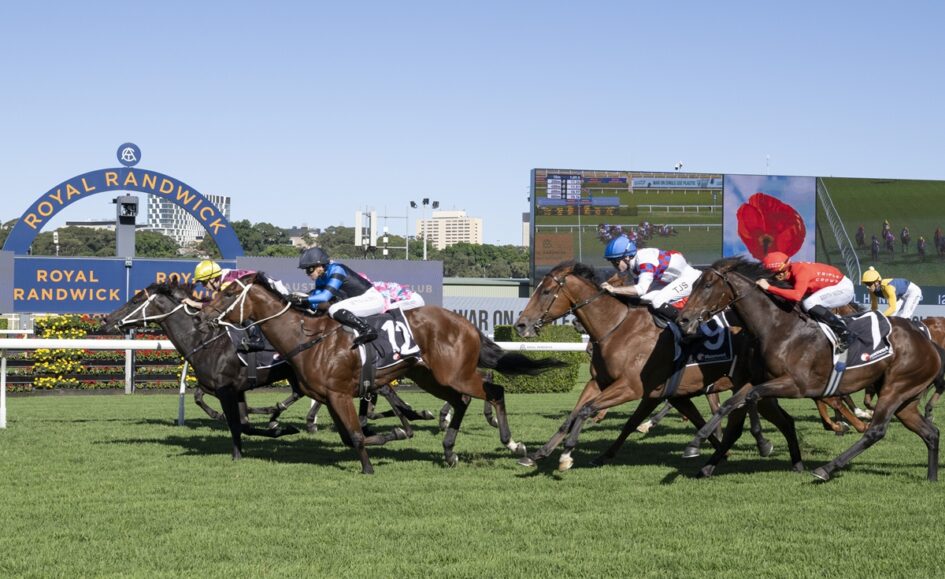 Jockeys and thoroughbreds race neck‑and‑neck on a sunny turf at Royal Randwick, with the blue Randwick sign in the background.