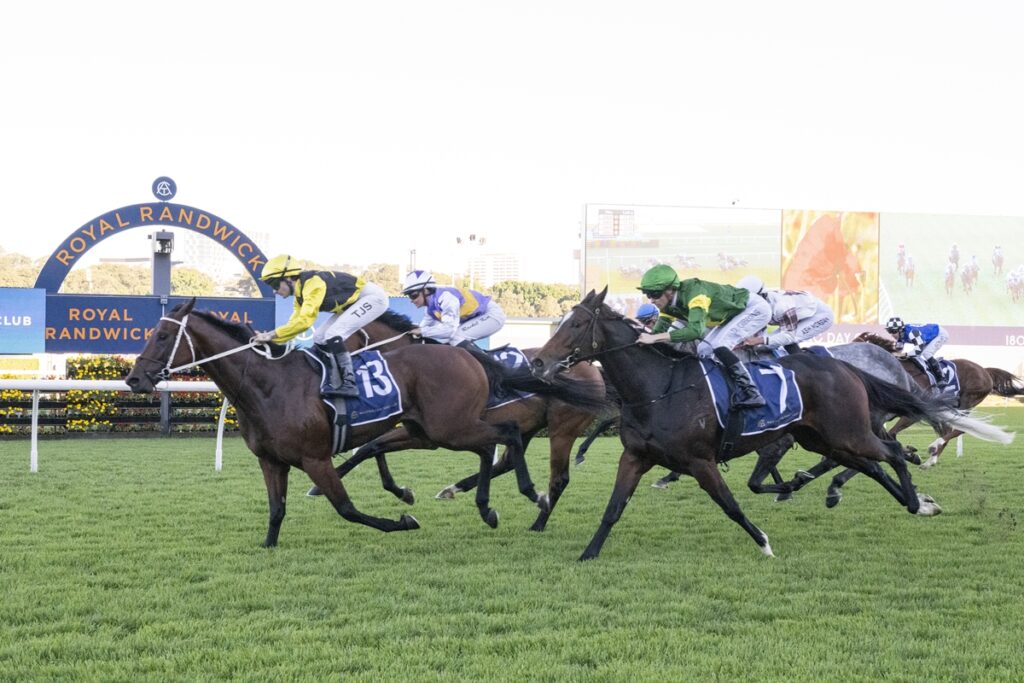 Jockeys and horses sprinting on a grassy racetrack with a blue Royal Randwick sign in the background, mid-race action.