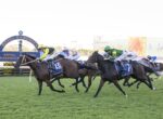 Jockeys and horses sprinting on a grassy racetrack with a blue Royal Randwick sign in the background, mid-race action.