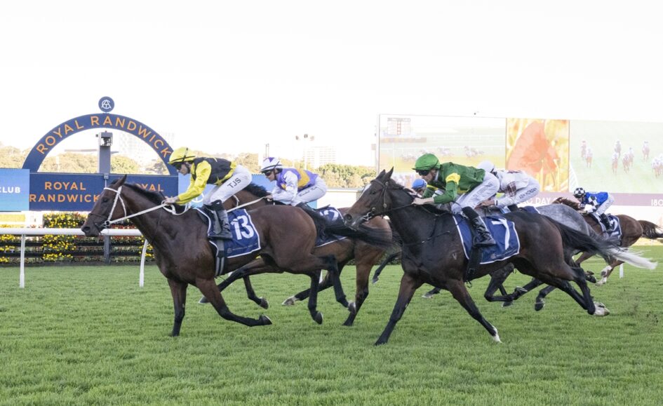 Jockeys and horses sprinting on a grassy racetrack with a blue Royal Randwick sign in the background, mid-race action.