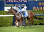 Jockey in blue-and-black silks rides a galloping bay horse on a grassy racecourse with a Kensington sign in the background.