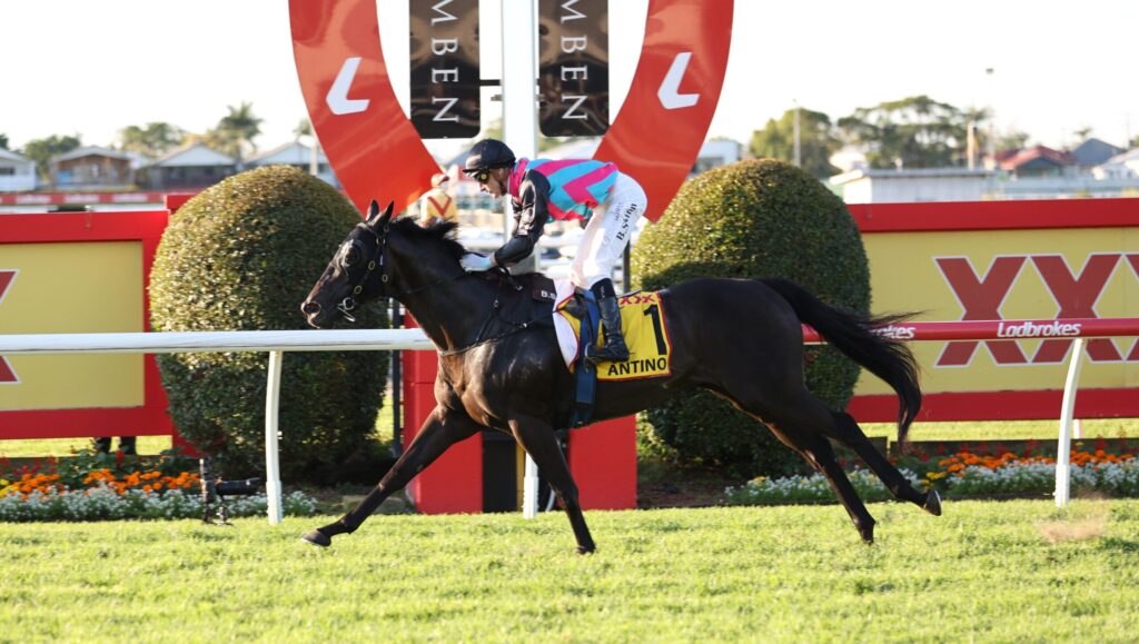 Jockey in turquoise-pink silks rides a dark horse over a bright obstacle at a racecourse, with sponsor signage in the background.