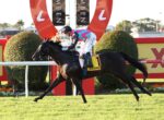 Jockey in turquoise-pink silks rides a dark horse over a bright obstacle at a racecourse, with sponsor signage in the background.