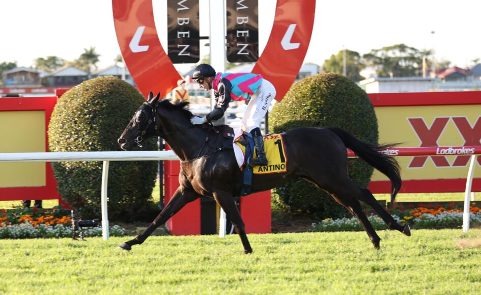 Jockey in turquoise-pink silks rides a dark horse over a bright obstacle at a racecourse, with sponsor signage in the background.