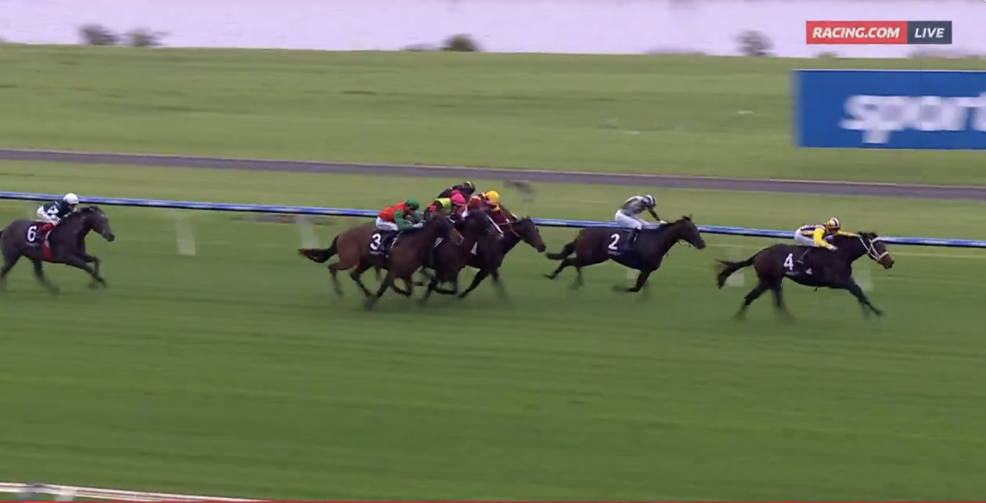 Impressive 2026 debuts for juveniles shining in Sydney and Melbourne