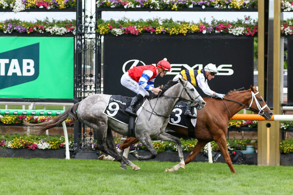 Two jockeys ride racehorses neck-and-neck on a green turf track, gray horse #9 in the lead with colorful flowers and banners in the background