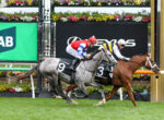 Two jockeys ride racehorses neck-and-neck on a green turf track, gray horse #9 in the lead with colorful flowers and banners in the background
