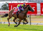 Jockey in purple and lime green silks rides a brown racehorse at full gallop on a grassy track, red Ladbrokes banners in the background; horse wears number 12 saddle cloth.