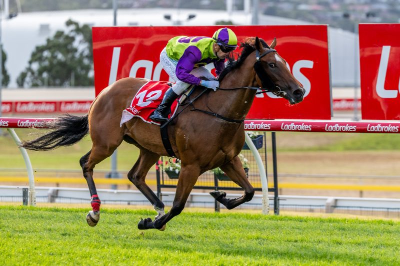 Jockey in purple and lime green silks rides a brown racehorse at full gallop on a grassy track, red Ladbrokes banners in the background; horse wears number 12 saddle cloth.