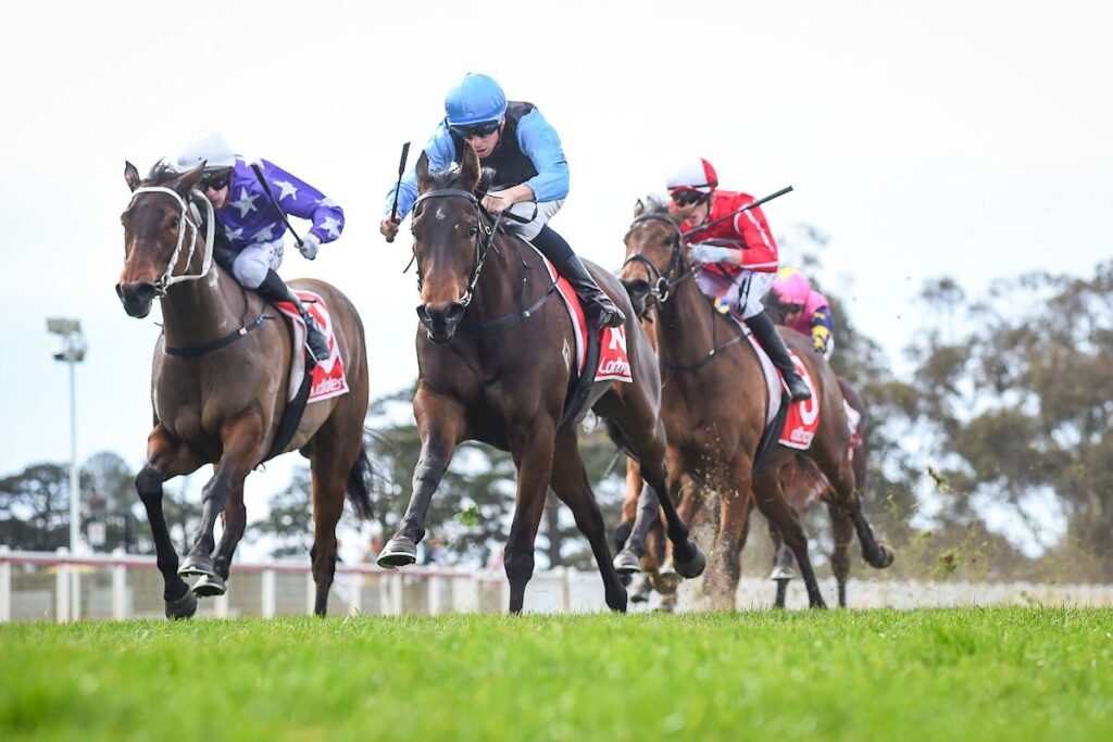 Horse race with jockeys in bright silks (blue, purple, red) galloping on a grassy track.