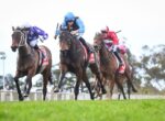 Horse race with jockeys in bright silks (blue, purple, red) galloping on a grassy track.