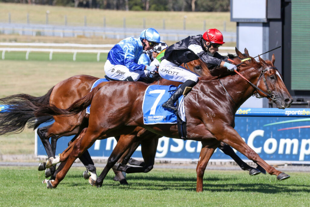 Two jockeys in blue and red silks race side by side on fast-moving horses during a track race.