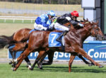 Two jockeys in blue and red silks race side by side on fast-moving horses during a track race.