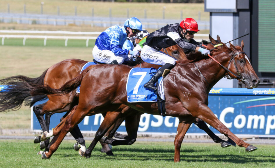 Two jockeys in blue and red silks race side by side on fast-moving horses during a track race.