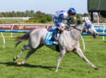 Jockey in blue and white silks rides a gray racehorse on a grassy track during a race on a sunny day.