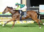 Jockey in green and yellow silks riding a bay horse at full gallop in a horse race, number 1 on the saddle cloth, colorful track backdrop.