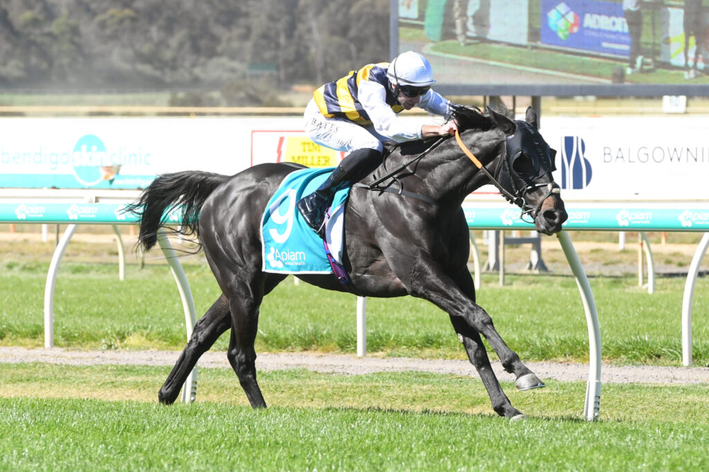 Jockey in blue and yellow silks rides a black horse at speed on a racecourse, number 9 saddle cloth and advertising boards in the background.