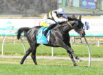 Jockey in blue and yellow silks rides a black horse at speed on a racecourse, number 9 saddle cloth and advertising boards in the background.