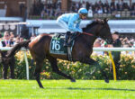 Jockey in light blue silks rides a dark horse with a green saddle cloth showing number 16 during a race, crowd in stands in the background.
