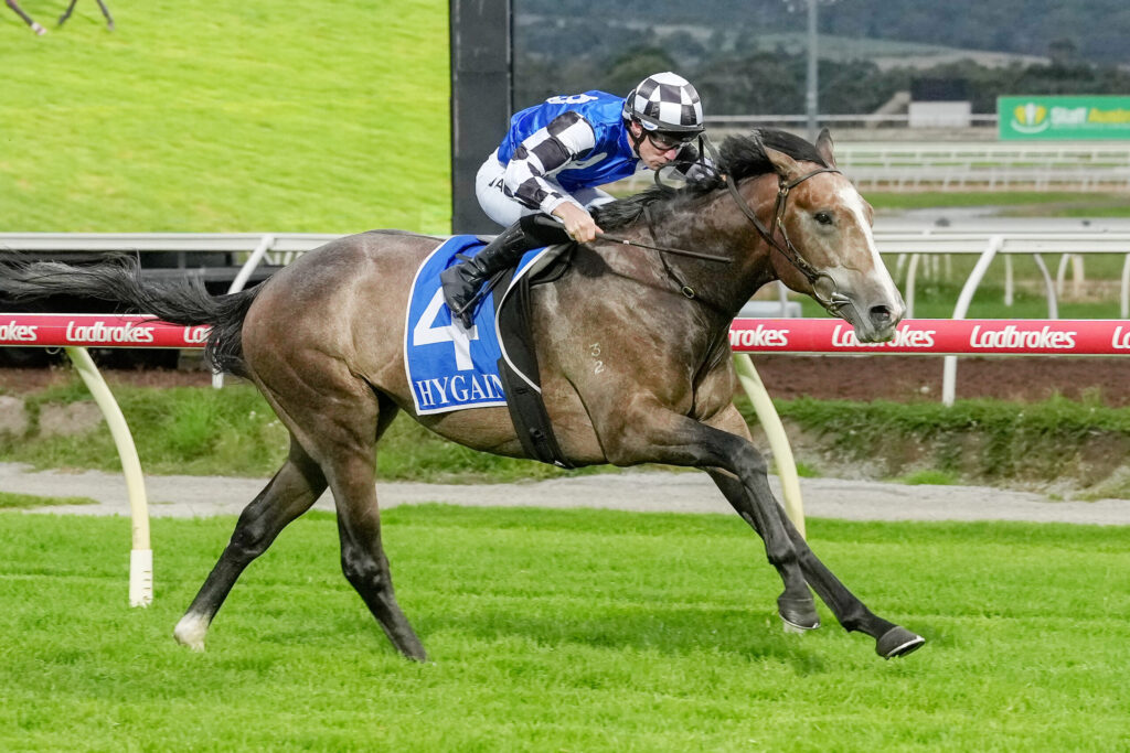 Jockey in blue and white silks rides a brown horse at full gallop on a turf racetrack with a red rails in the background, conveying a racing moment.
