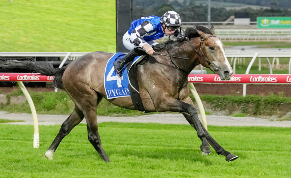 Jockey in blue and white silks rides a brown horse at full gallop on a turf racetrack with a red rails in the background, conveying a racing moment.