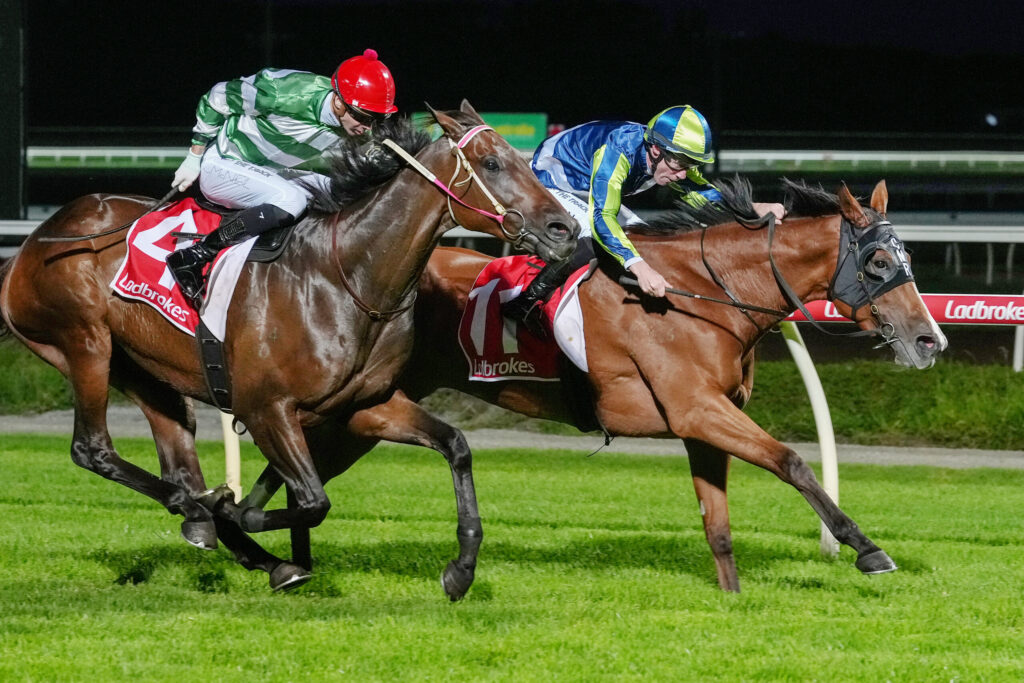 Two jockeys race side-by-side on galloping horses at night, leaning forward in a close finish on a grassy track, with red and blue helmets and bright silks.
