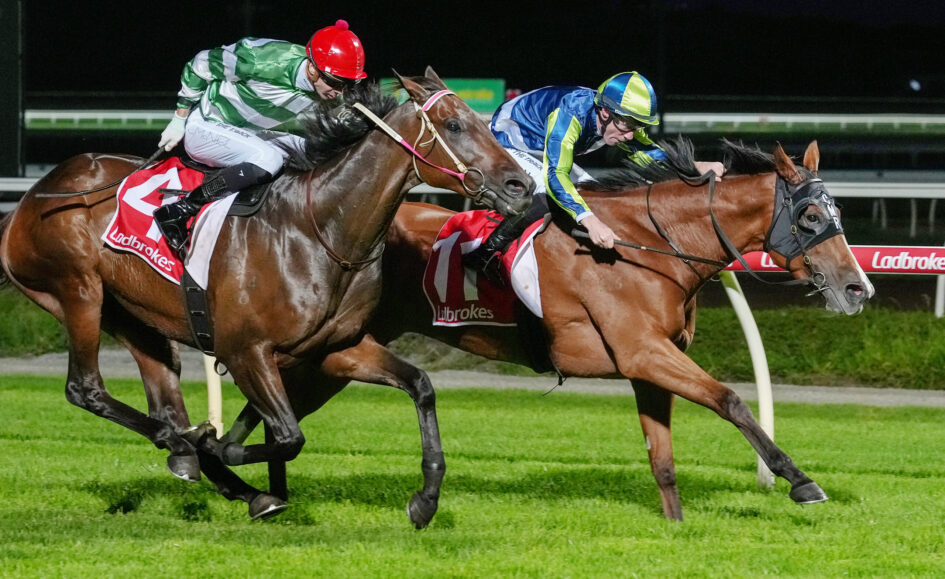 Two jockeys race side-by-side on galloping horses at night, leaning forward in a close finish on a grassy track, with red and blue helmets and bright silks.