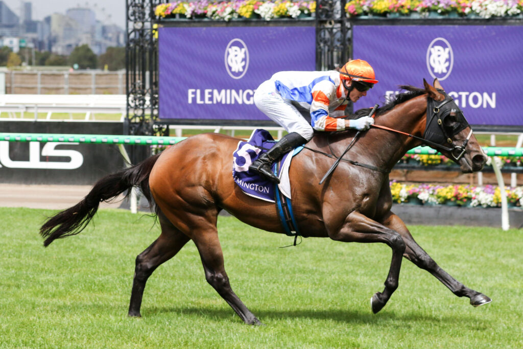Jockey in orange helmet and blue-white silks riding a dark brown racehorse at full gallop on a grassy track, with purple sponsor signage in the background.
