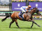 Jockey in orange helmet and blue-white silks riding a dark brown racehorse at full gallop on a grassy track, with purple sponsor signage in the background.