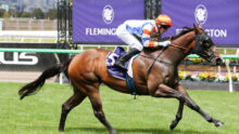 Jockey in orange helmet and blue-white silks riding a dark brown racehorse at full gallop on a grassy track, with purple sponsor signage in the background.