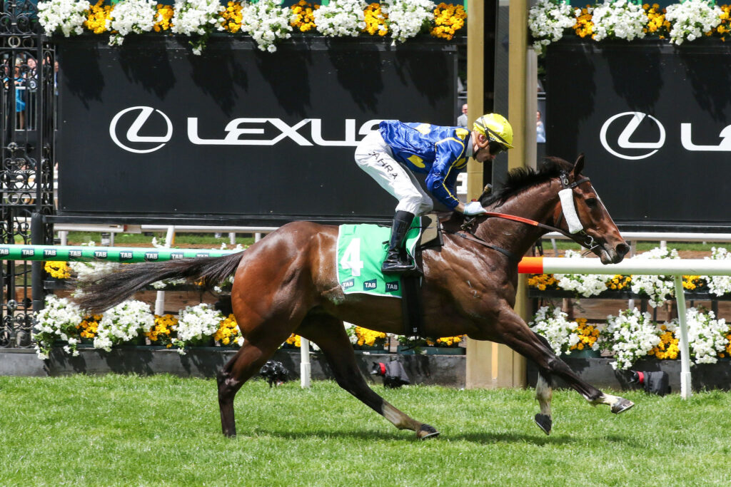 Jockey in blue and yellow silks riding a brown horse mid-jump over a hurdle at a racecourse, with sponsor boards in the background.