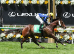 Jockey in blue and yellow silks riding a brown horse mid-jump over a hurdle at a racecourse, with sponsor boards in the background.