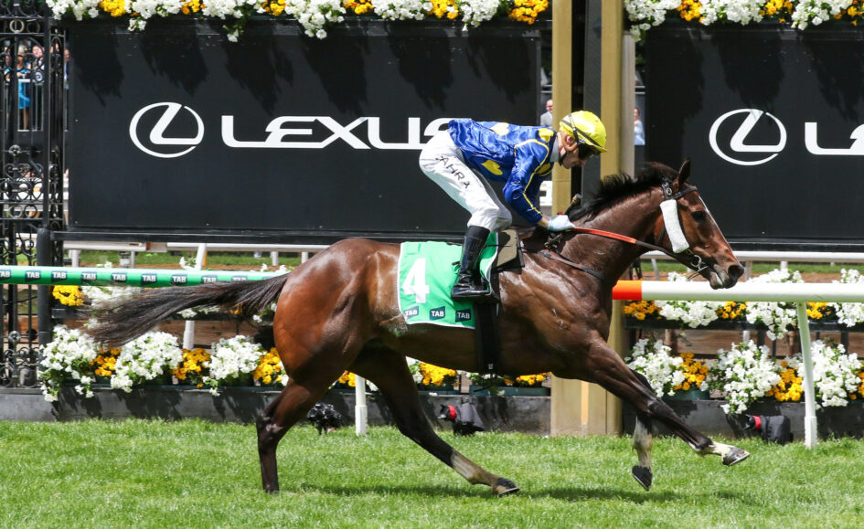 Jockey in blue and yellow silks riding a brown horse mid-jump over a hurdle at a racecourse, with sponsor boards in the background.