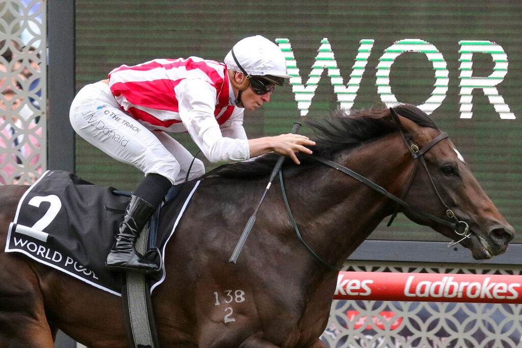 Jockey in red-and-white silks rides a dark horse mid-race, race number 138 visible on the horse.