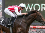 Jockey in red-and-white silks rides a dark horse mid-race, race number 138 visible on the horse.