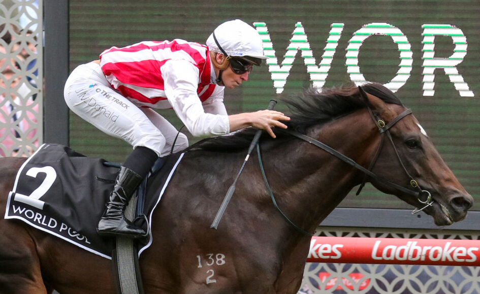 Jockey in red-and-white silks rides a dark horse mid-race, race number 138 visible on the horse.