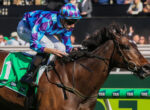 Jockey in blue and purple geometric silks rides a dark horse during a race, leaning forward at full speed with crowd in the background.