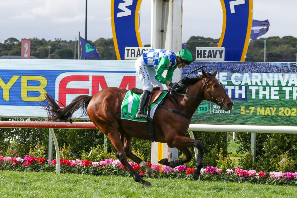 Jockey in green and blue check silks rides a brown horse over a hurdle at a racecourse with banners in the background.