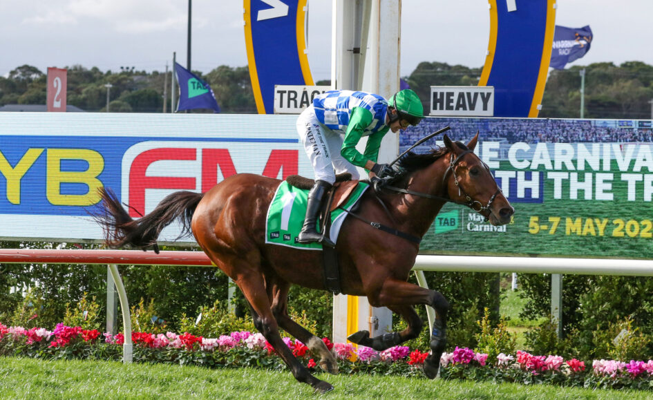 Jockey in green and blue check silks rides a brown horse over a hurdle at a racecourse with banners in the background.