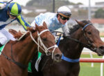 Two jockeys in colorful silks race side by side on fast-moving horses at a track.
