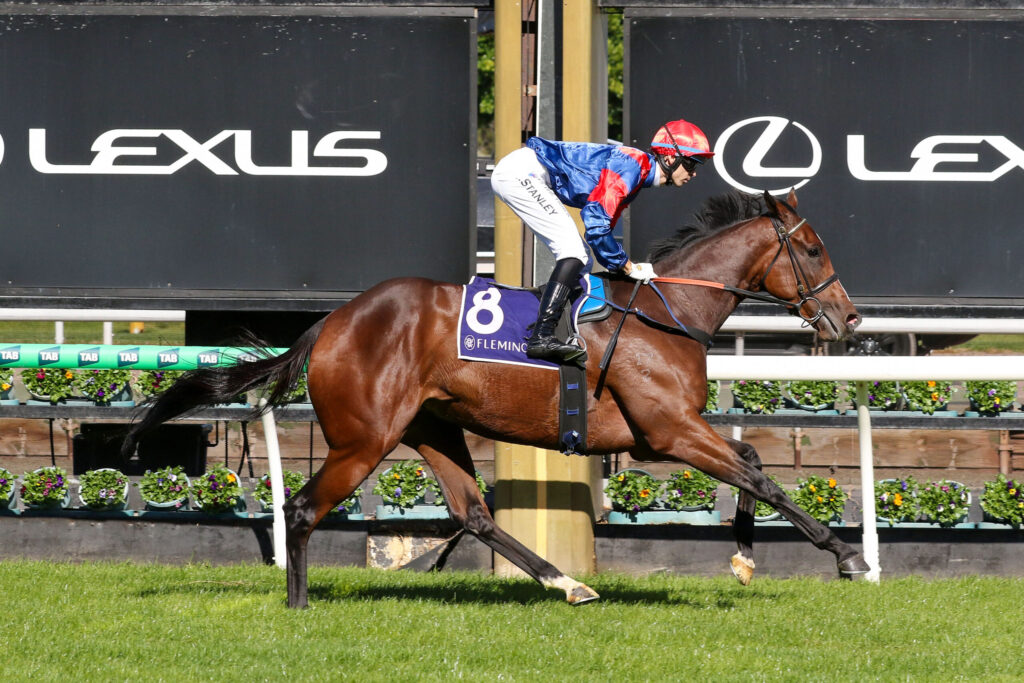 Jockey in red and blue silks on a galloping brown horse near sponsor banners at a racetrack.