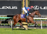Jockey in red and blue silks on a galloping brown horse near sponsor banners at a racetrack.
