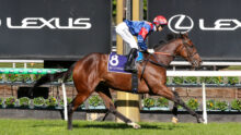 Jockey in red and blue silks on a galloping brown horse near sponsor banners at a racetrack.