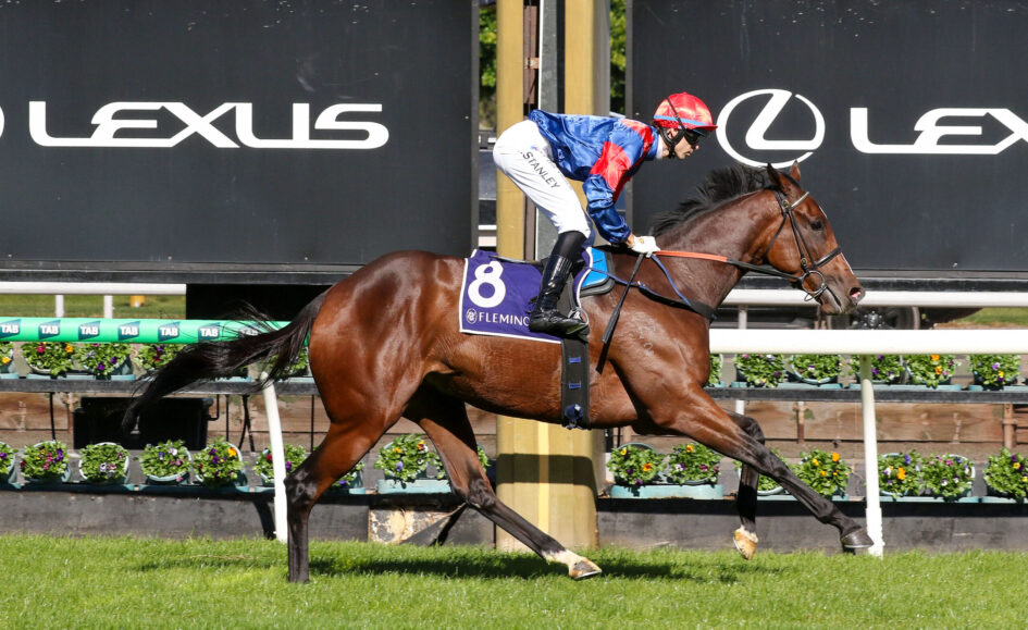 Jockey in red and blue silks on a galloping brown horse near sponsor banners at a racetrack.